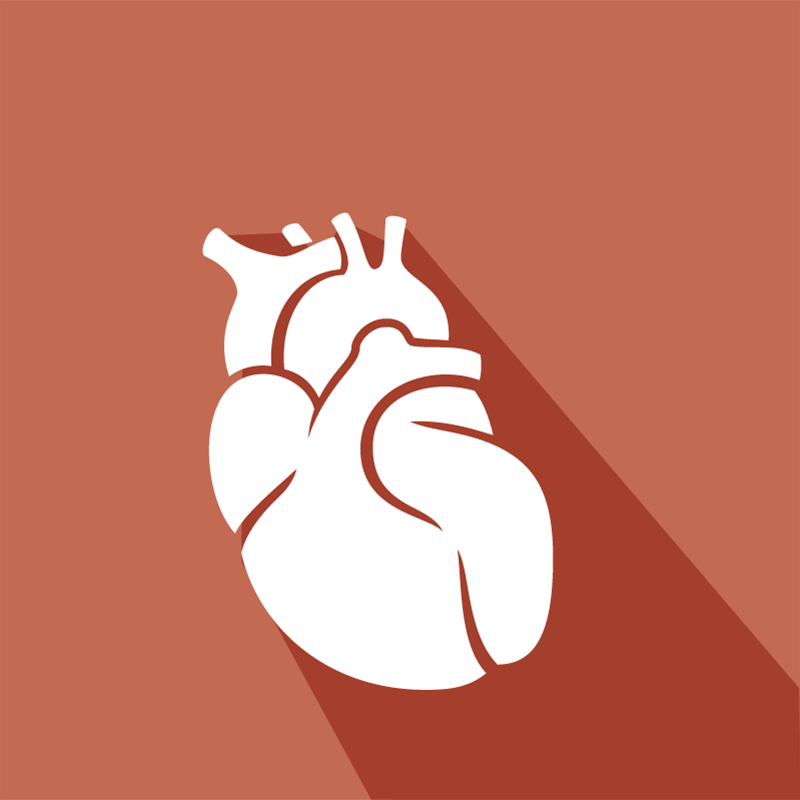 ico-equipo-cardiologia